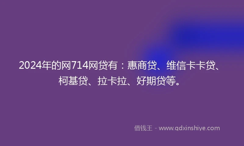 2024年的网714网贷有：惠商贷、维信卡卡贷、柯基贷、拉卡拉、好期贷等。