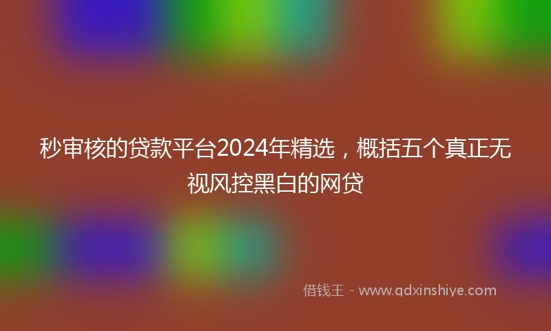 秒审核的贷款平台2024年精选，概括五个真正无视风控黑白的网贷