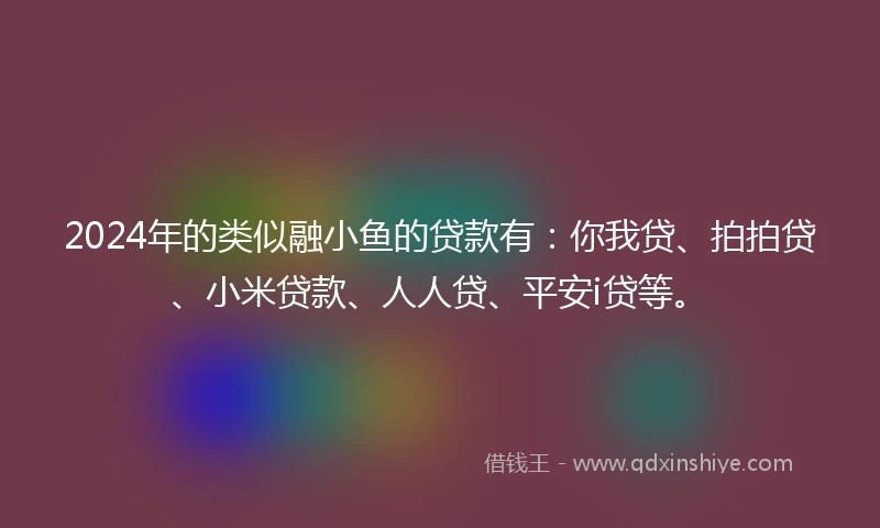 2024年的类似融小鱼的贷款有：你我贷、拍拍贷、小米贷款、人人贷、平安i贷等。