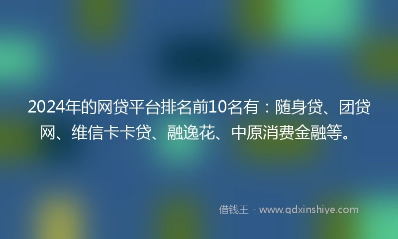 2024年的网贷平台排名前10名有：随身贷、团贷网、维信卡卡贷、融逸花、中原消费金融等。