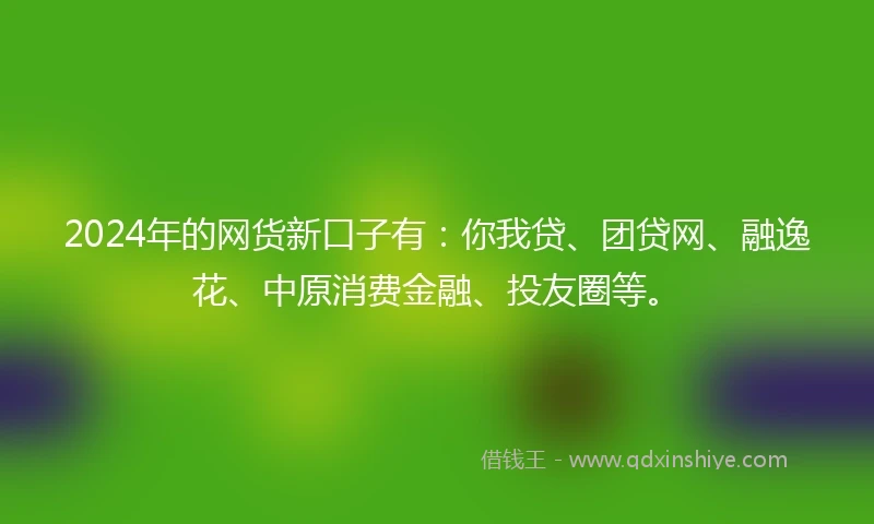 2024年的网货新口子有：你我贷、团贷网、融逸花、中原消费金融、投友圈等。