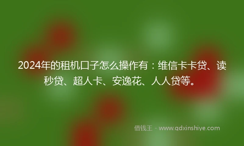 2024年的租机口子怎么操作有：维信卡卡贷、读秒贷、超人卡、安逸花、人人贷等。