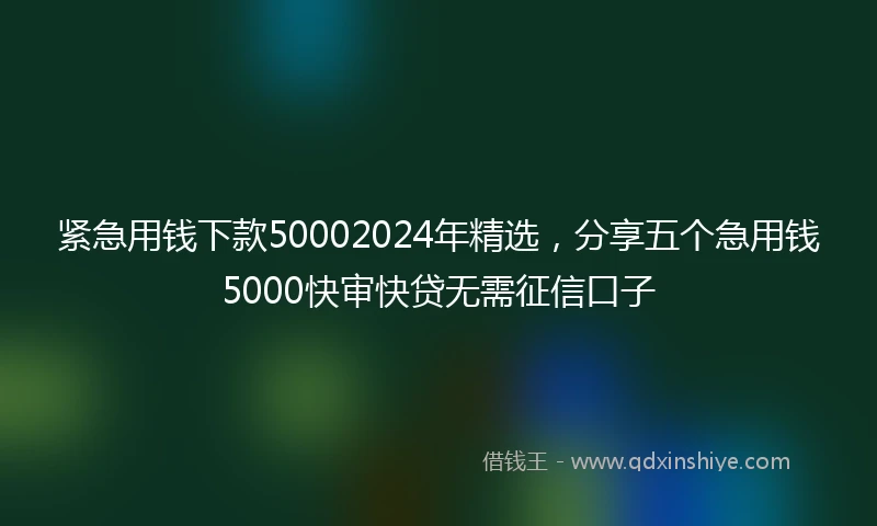 紧急用钱下款50002024年精选，分享五个急用钱5000快审快贷无需征信口子