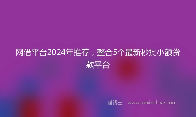 网借平台2024年推荐，整合5个最新秒批小额贷款平台