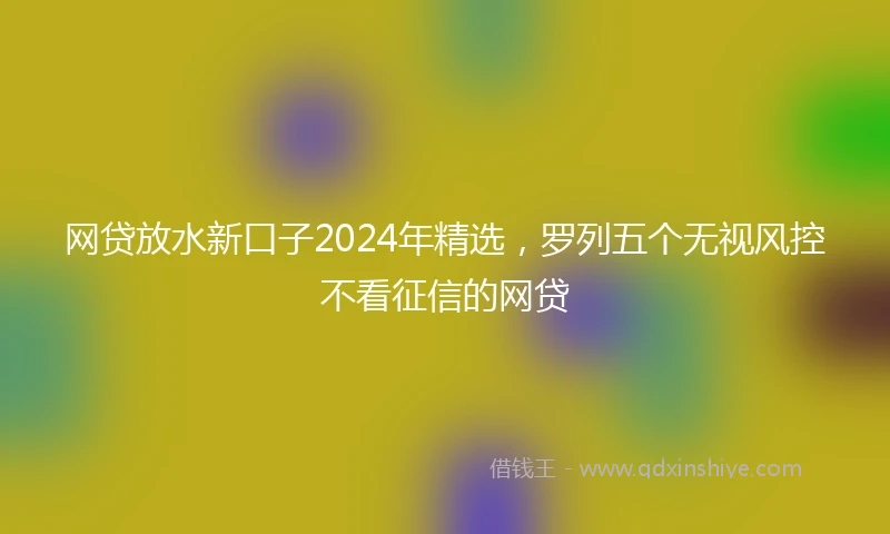 网贷放水新口子2024年精选，罗列五个无视风控不看征信的网贷