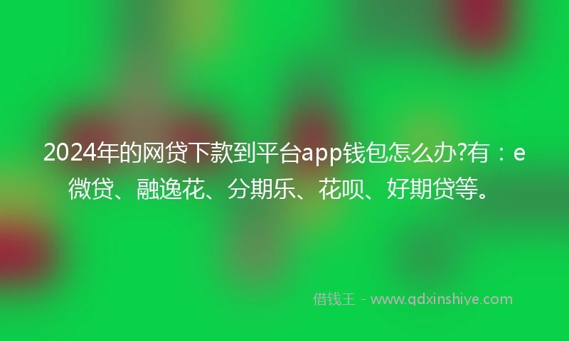 2024年的网贷下款到平台app钱包怎么办?有：e微贷、融逸花、分期乐、花呗、好期贷等。