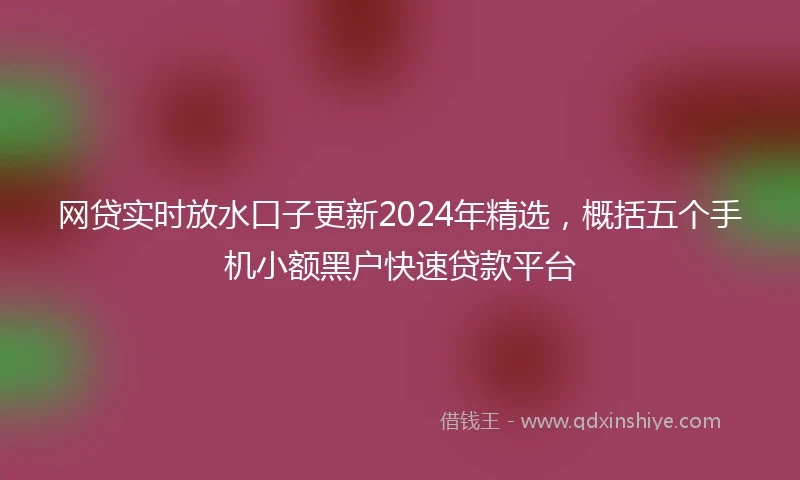 网贷实时放水口子更新2024年精选，概括五个手机小额黑户快速贷款平台