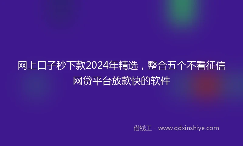 网上口子秒下款2024年精选，整合五个不看征信网贷平台放款快的软件