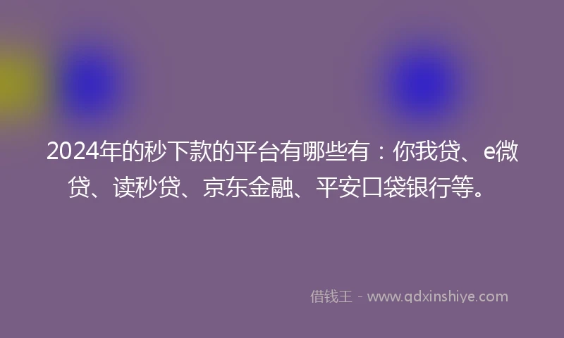 2024年的秒下款的平台有哪些有：你我贷、e微贷、读秒贷、京东金融、平安口袋银行等。