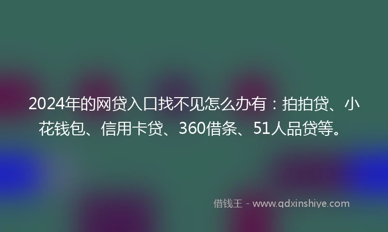 2024年的网贷入口找不见怎么办有：拍拍贷、小花钱包、信用卡贷、360借条、51人品贷等。
