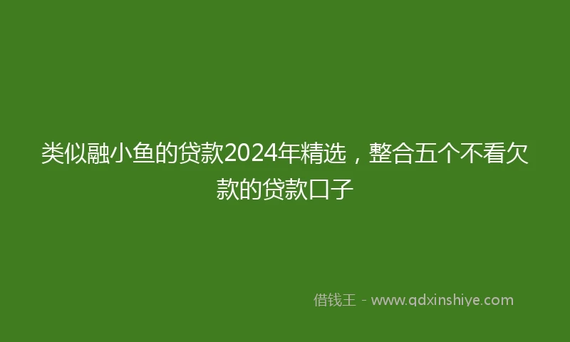 类似融小鱼的贷款2024年精选，整合五个不看欠款的贷款口子