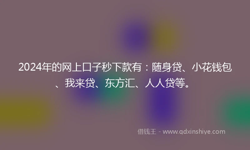 2024年的网上口子秒下款有：随身贷、小花钱包、我来贷、东方汇、人人贷等。