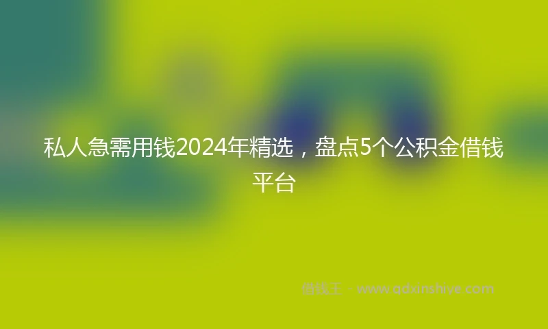 私人急需用钱2024年精选，盘点5个公积金借钱平台