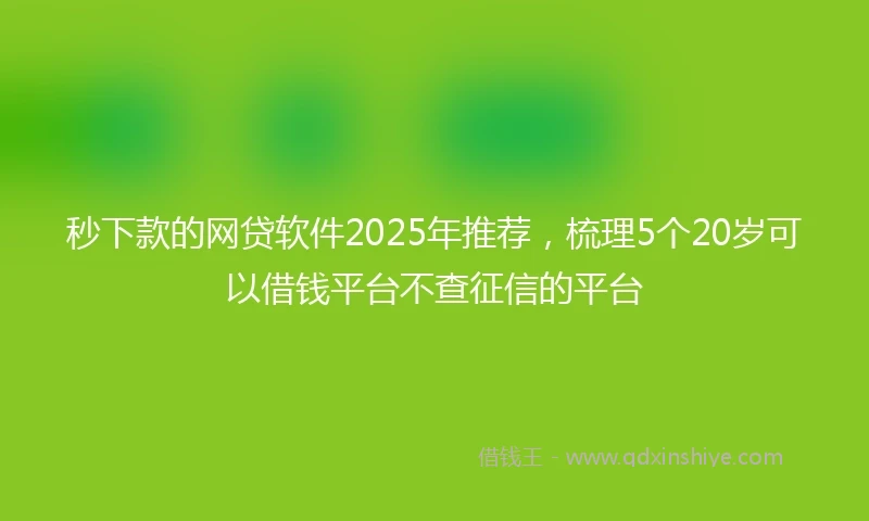 秒下款的网贷软件2025年推荐,梳理5个20岁可以借钱平台不查征信的平台
