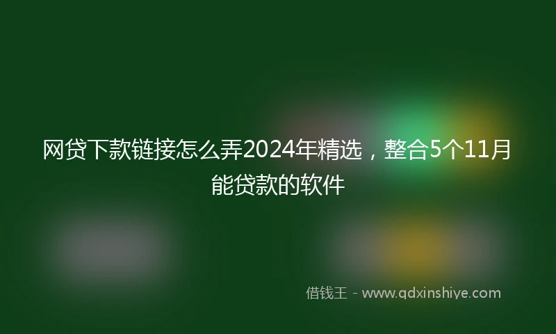 网贷下款链接怎么弄2024年精选,整合5个11月能贷款的软件