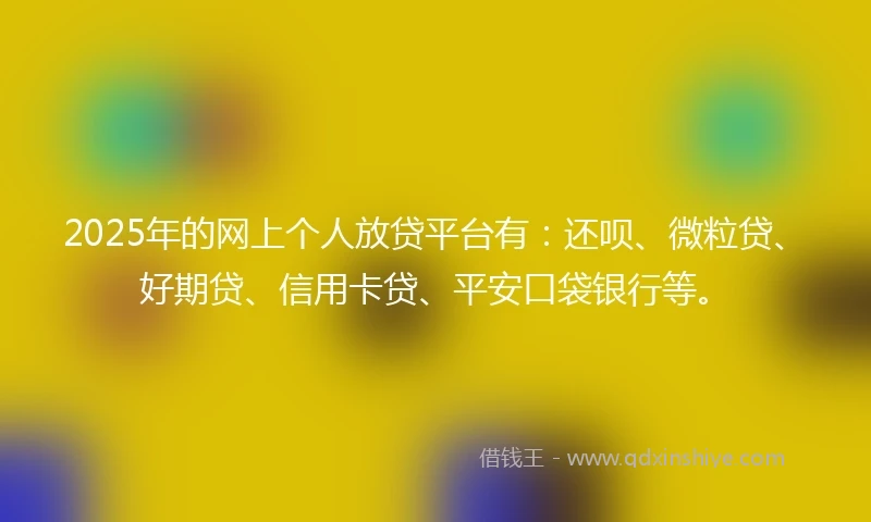 2025年的网上个人放贷平台有：还呗、微粒贷、好期贷、信用卡贷、平安口袋银行等。
