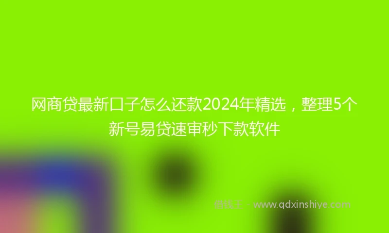 网商贷最新口子怎么还款2024年精选，整理5个新号易贷速审秒下款软件