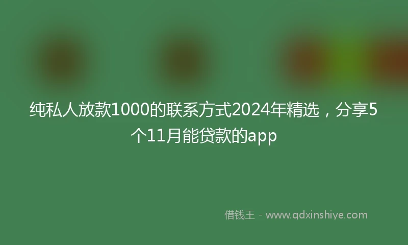 纯私人放款1000的联系方式2024年精选，分享5个11月能贷款的app