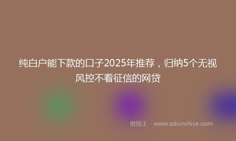 纯白户能下款的口子2025年推荐，归纳5个无视风控不看征信的网贷