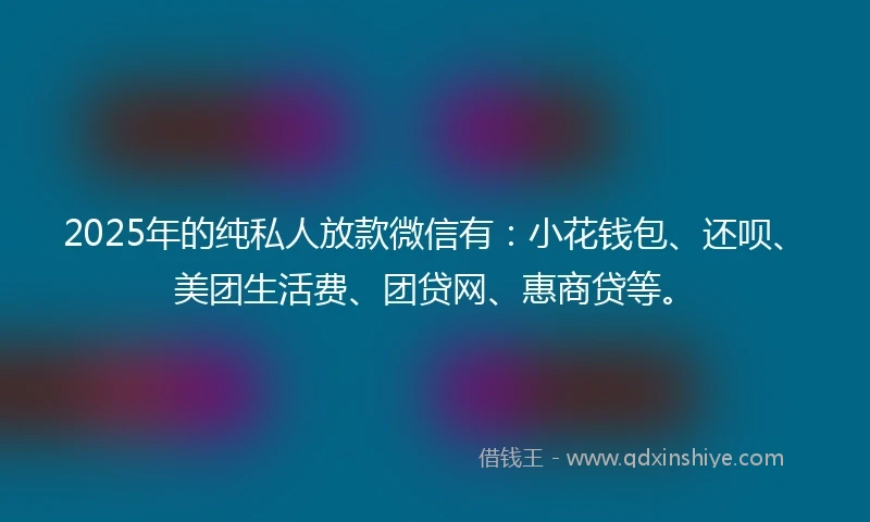 2025年的纯私人放款微信有：小花钱包、还呗、美团生活费、团贷网、惠商贷等。