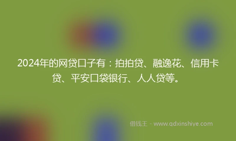 2024年的网贷口子有：拍拍贷、融逸花、信用卡贷、平安口袋银行、人人贷等。