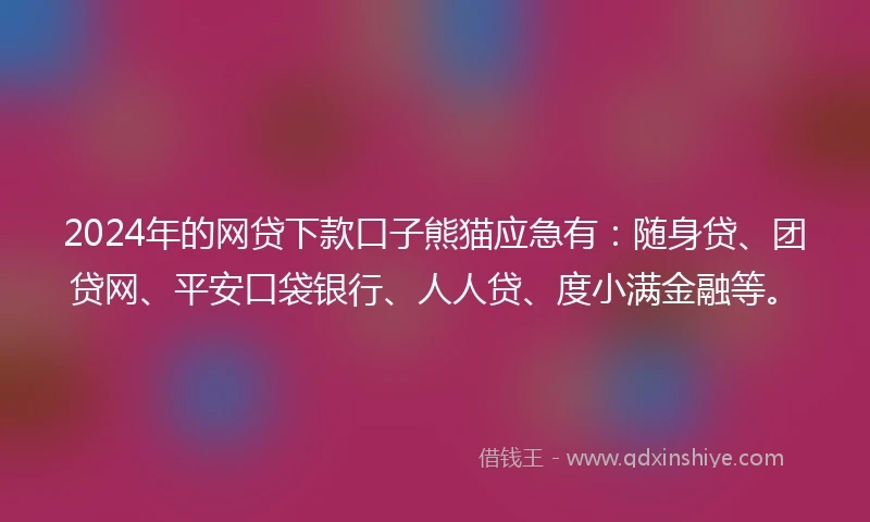 2024年的网贷下款口子熊猫应急有：随身贷、团贷网、平安口袋银行、人人贷、度小满金融等。