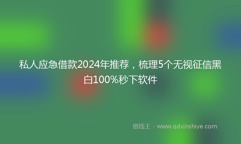 私人应急借款2024年推荐，梳理5个无视征信黑白100%秒下软件