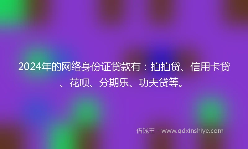 2024年的网络身份证贷款有：拍拍贷、信用卡贷、花呗、分期乐、功夫贷等。