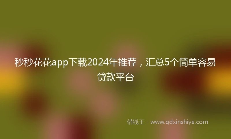 秒秒花花app下载2024年推荐，汇总5个简单容易贷款平台
