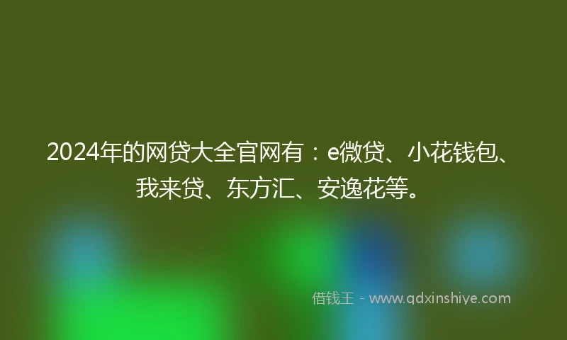2024年的网贷大全官网有：e微贷、小花钱包、我来贷、东方汇、安逸花等。
