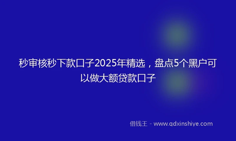 秒审核秒下款口子2025年精选，盘点5个黑户可以做大额贷款口子