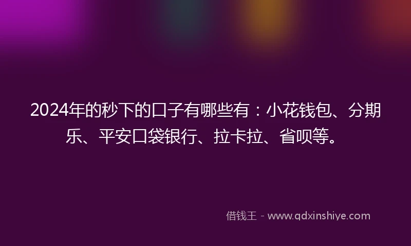 2024年的秒下的口子有哪些有：小花钱包、分期乐、平安口袋银行、拉卡拉、省呗等。