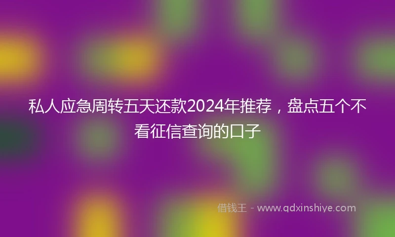 私人应急周转五天还款2024年推荐，盘点五个不看征信查询的口子