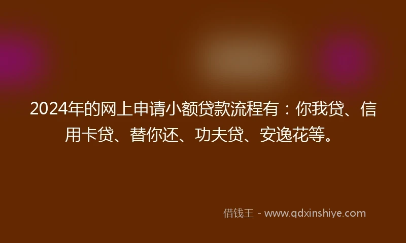 2024年的网上申请小额贷款流程有：你我贷、信用卡贷、替你还、功夫贷、安逸花等。