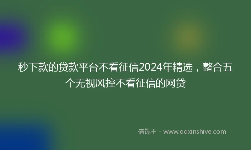 秒下款的贷款平台不看征信2024年精选，整合五个无视风控不看征信的网贷