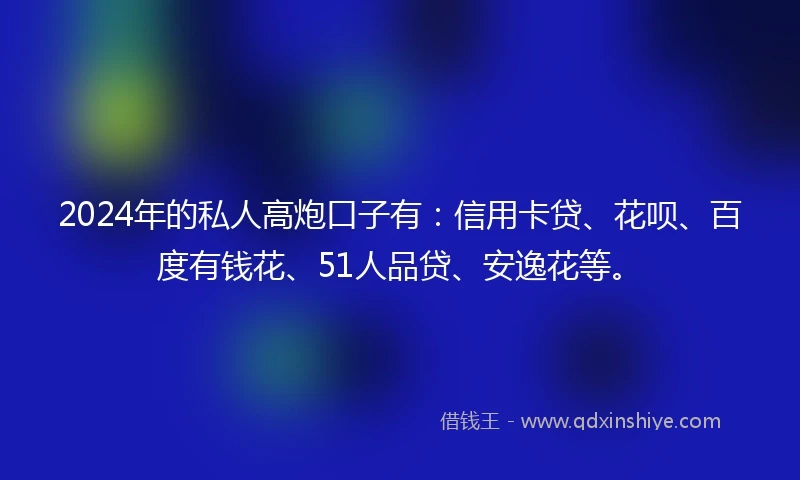 2024年的私人高炮口子有：信用卡贷、花呗、百度有钱花、51人品贷、安逸花等。