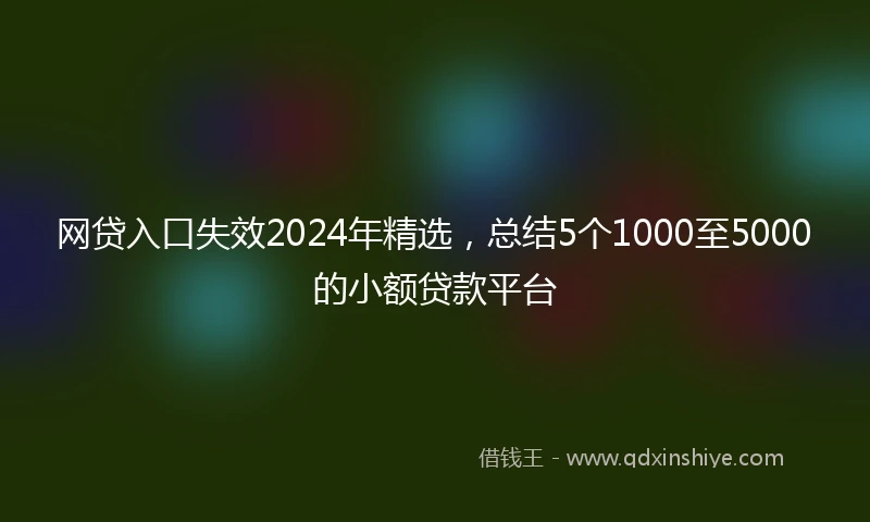 网贷入口失效2024年精选，总结5个1000至5000的小额贷款平台