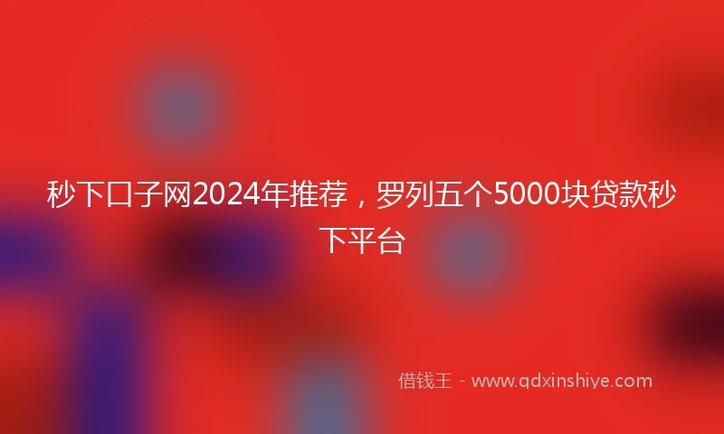 秒下口子网2024年推荐，罗列五个5000块贷款秒下平台