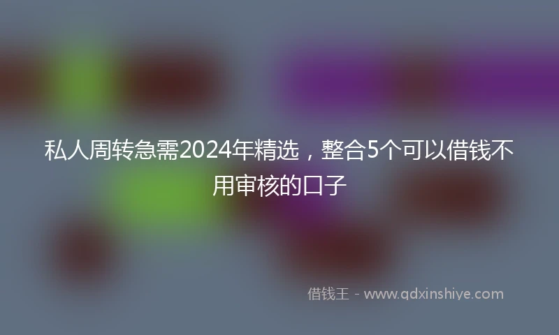 私人周转急需2024年精选，整合5个可以借钱不用审核的口子