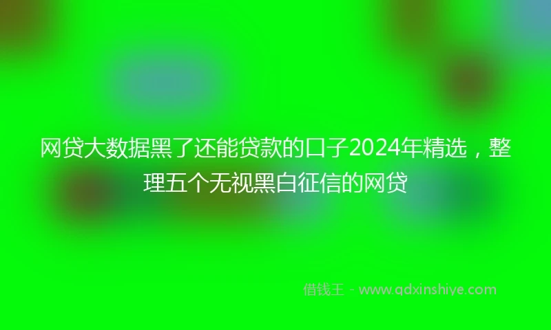 网贷大数据黑了还能贷款的口子2024年精选，整理五个无视黑白征信的网贷