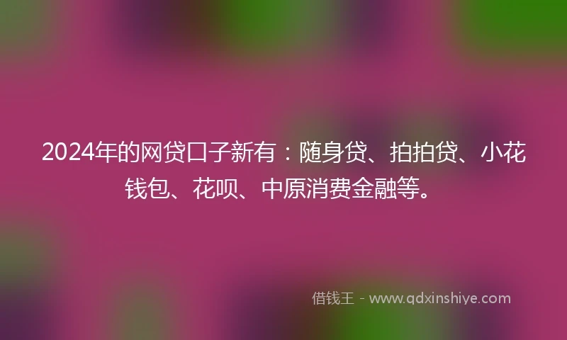 2024年的网贷口子新有：随身贷、拍拍贷、小花钱包、花呗、中原消费金融等。