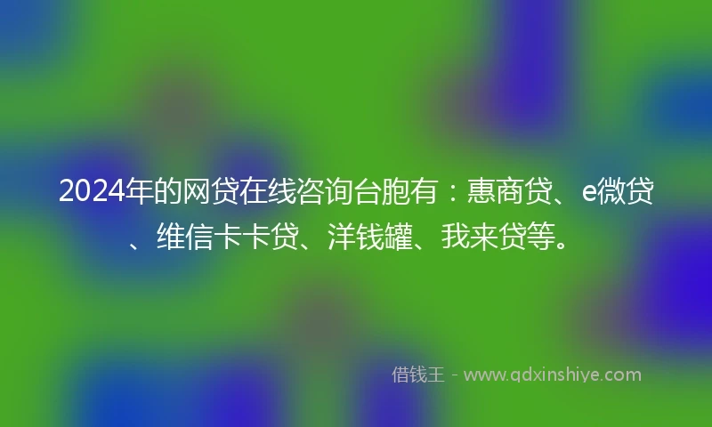 2024年的网贷在线咨询台胞有：惠商贷、e微贷、维信卡卡贷、洋钱罐、我来贷等。