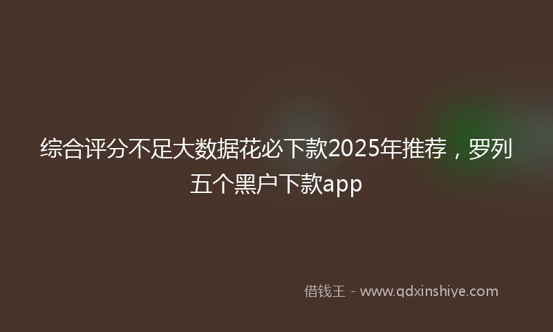 综合评分不足大数据花必下款2025年推荐，罗列五个黑户下款app