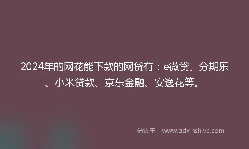 2024年的网花能下款的网贷有：e微贷、分期乐、小米贷款、京东金融、安逸花等。
