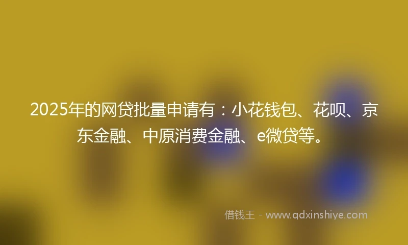 2025年的网贷批量申请有：小花钱包、花呗、京东金融、中原消费金融、e微贷等。