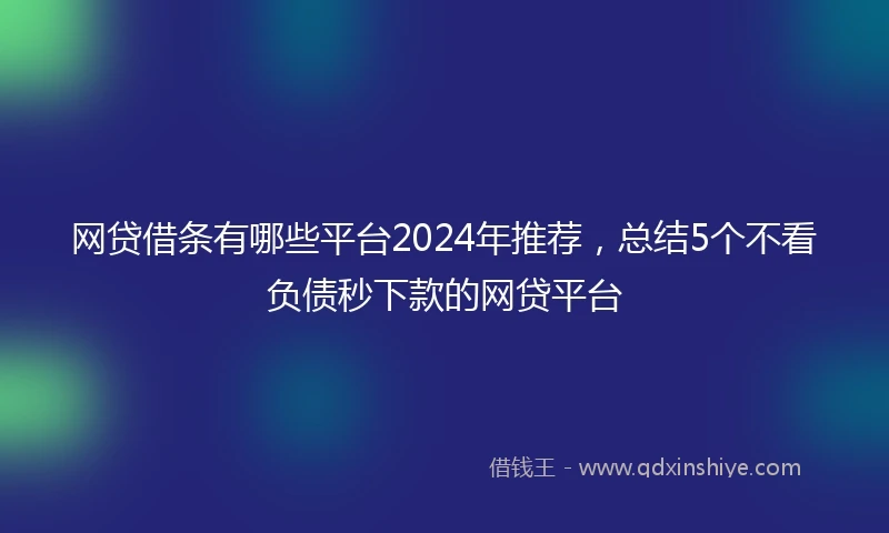 网贷借条有哪些平台2024年推荐，总结5个不看负债秒下款的网贷平台