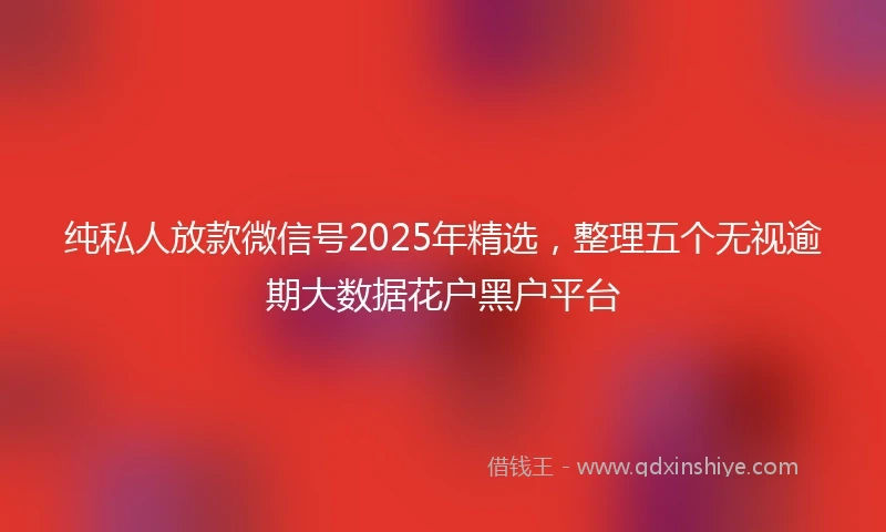 纯私人放款微信号2025年精选，整理五个无视逾期大数据花户黑户平台
