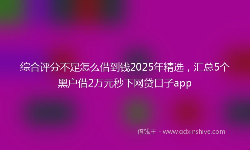 综合评分不足怎么借到钱2025年精选，汇总5个黑户借2万元秒下网贷口子app