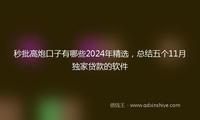秒批高炮口子有哪些2024年精选，总结五个11月独家贷款的软件