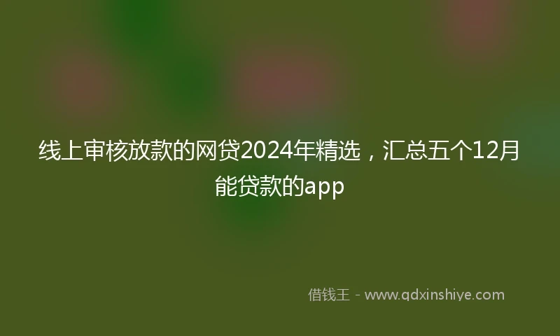 线上审核放款的网贷2024年精选，汇总五个12月能贷款的app